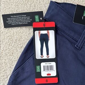 Banana Republic Blue Ankle Pants